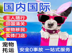丽江航空快递国际宠物托运 【国